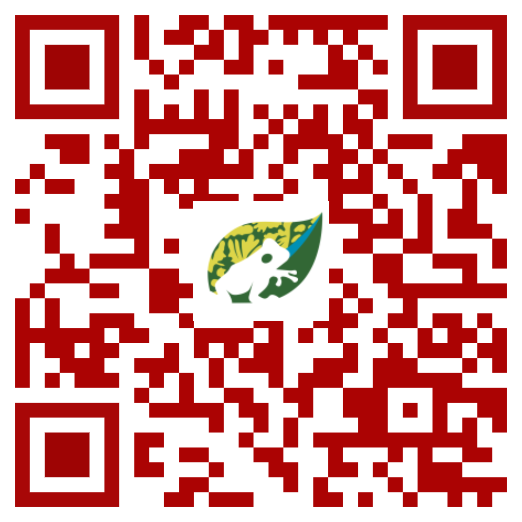 Instagram QR